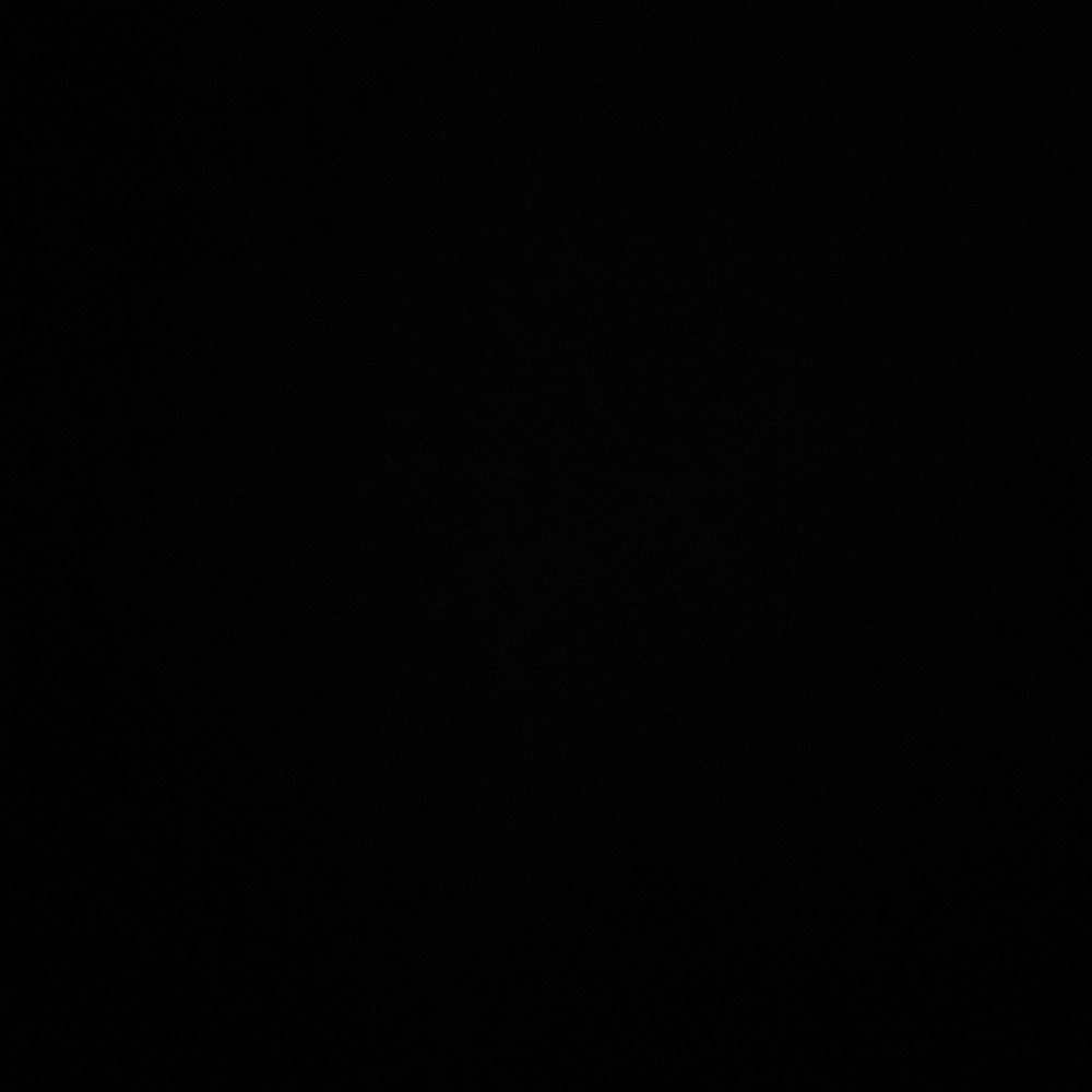 Meet your Posher, Reagan